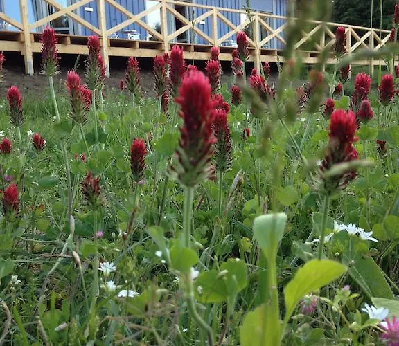 Vendégház Haus Bikowsee Rheinsberg